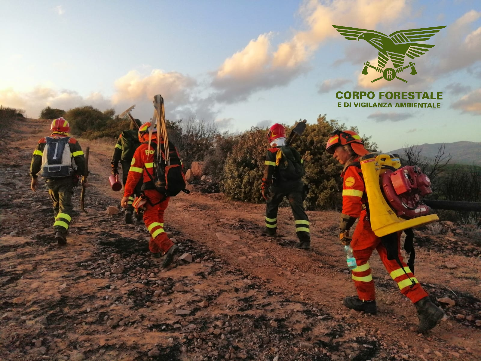 La Sardegna è un braciere, 25 roghi nelle ultime ventiquattr’ore: incendi da Ottana ad Arzachena