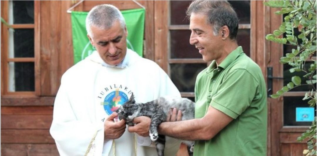 Sardegna, messa speciale tra i gatti di Su Pallosu: “Dio ha creato anche loro e vanno difesi”