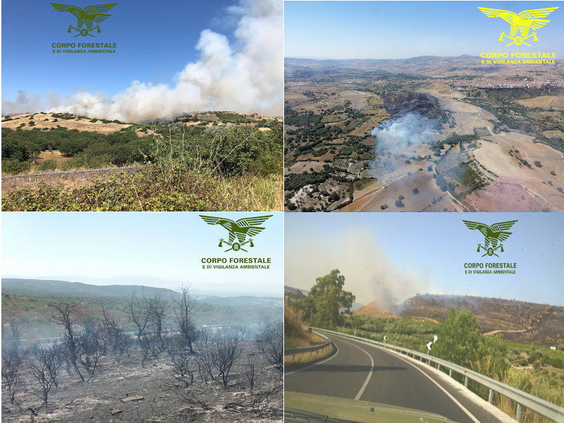 Sardegna sfregiata dal fuoco, 5 incendi divorano alberi e pascoli da Quartucciu a Ploaghe