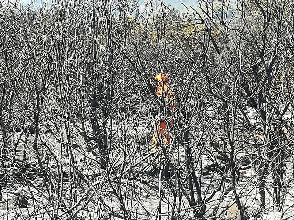 Incendio devastante a Santa Margherita, anziano colpito da malore. La sindaca: la vita presenterà il conto al vigliacco e infame