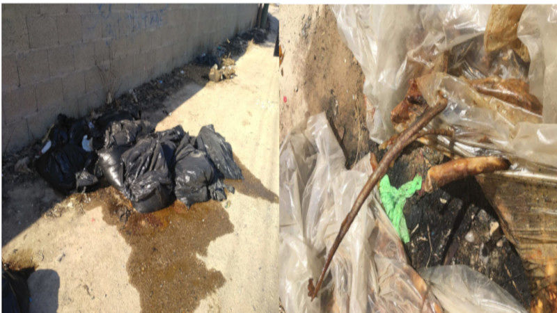 Quartu, la grande schifezza a Pardinixeddu: “Bustoni abbandonati pieni di carne marcia”