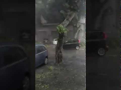 Bomba d’acqua su Cagliari, gli automobilisti dribblano i rami crollati in viale Trieste (VIDEO)