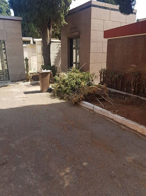 Cagliari, cumuli di foglie e rami davanti alle cappelle del cimitero: “Un’anziana ha rischiato di inciampare”