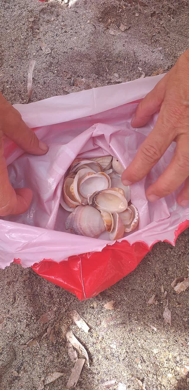 Capo Carbonara, i turisti pentiti riportano sassi e conghiglie alle guardie ambientali: “Li avevamo in casa da tempo…”