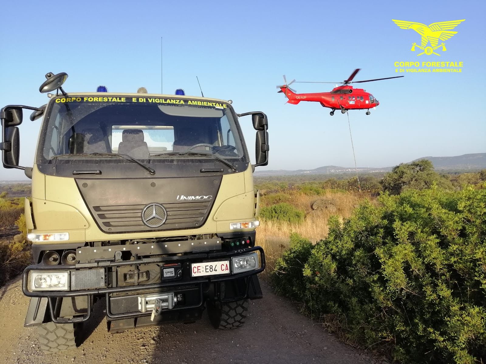 Sette incendi in Sardegna: rogo in una foresta di pregio, paura a Suelli
