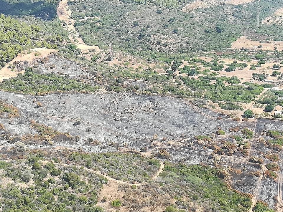 Pula, il maxi incendio di Ferragosto è doloso: “Dieci ettari in fumo, un meraviglioso territorio umiliato”