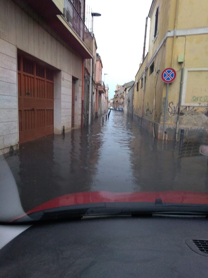 Quartu, in via Lamarmora dopo la pioggia invasione di blatte: “Le fogne fanno schifo”