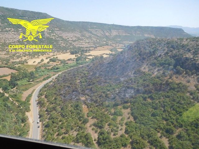 Cinque incendi in Sardegna: in cenere 4 ettari di macchia mediterranea a Narcao
