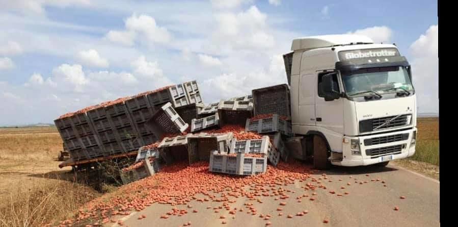 Spettacolare incidente tra Serrenti e Serramanna, camion perde tutto il carico di pomodori