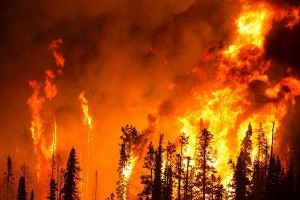 La Siberia brucia, in fiamme tre milioni di ettari di foreste: è un disastro