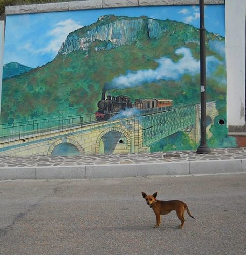 Il “Trenino Verde”, un sogno che finalmente riparte negli annunci: sarà davvero la volta buona?