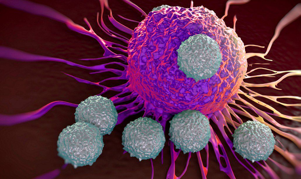 Uno studio italiano scopre il meccanismo che blocca la crescita di alcuni tumori