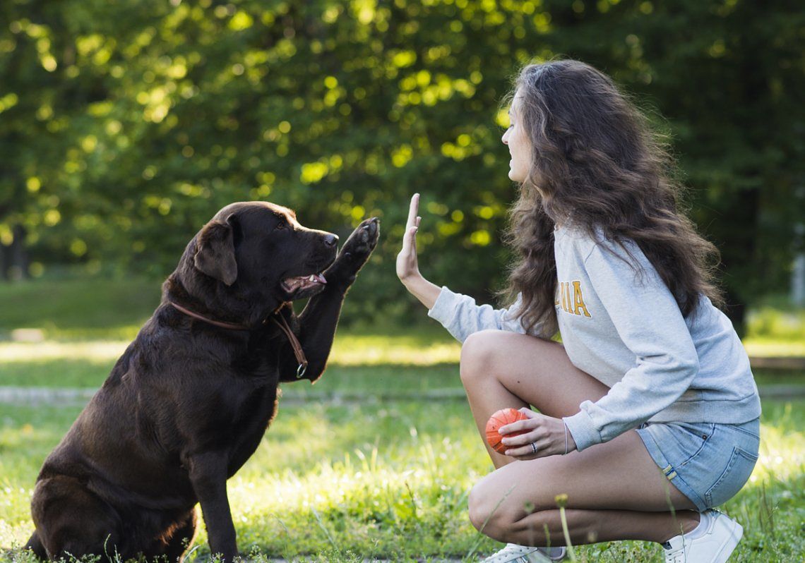 Gli animali domestici? Per gli italiani sono “come un figlio”