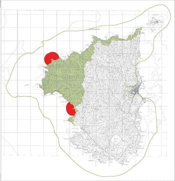 Musica a Carloforte, il Grig: “Nelle zone di protezione speciale l’avifauna selvatica va lasciata in pace”