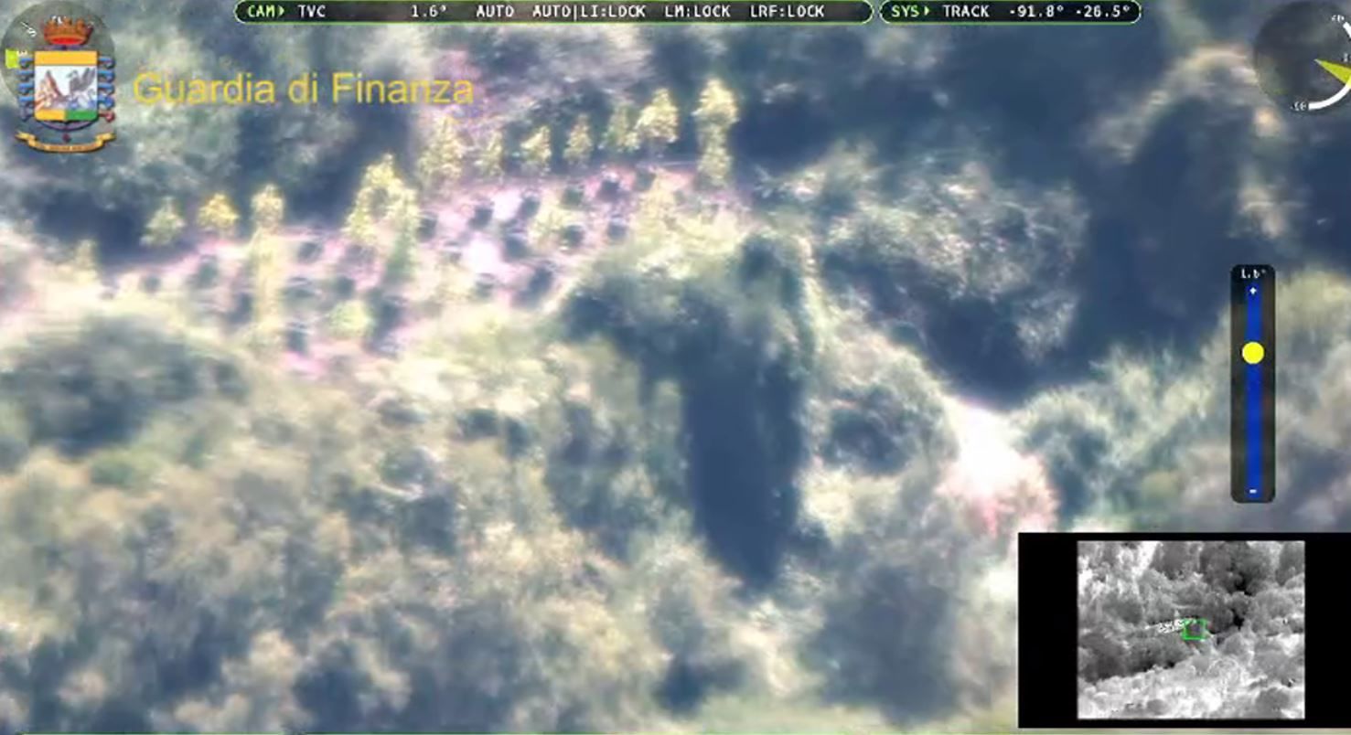 Scoperta mega piantagione di canapa indiana in Sardegna: due arresti