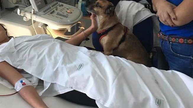 Sardegna, “cani e gatti negli ospedali in visita ai padroni malati: la loro presenza è fondamentale”