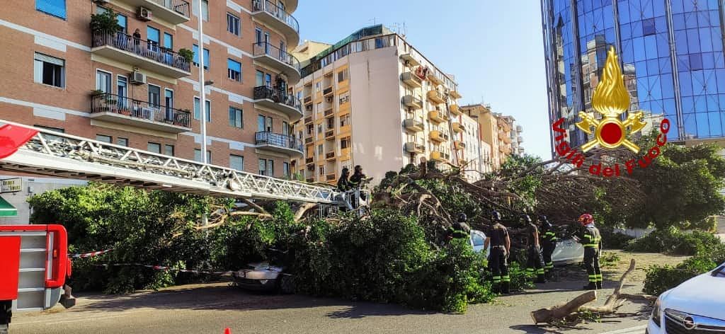 Terrore in via dei Giudicati a Cagliari, grosso albero crolla sull’auto guidata da una donna