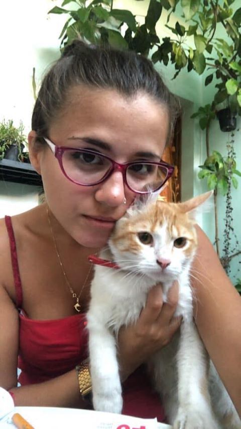 Milù è scomparsa a Ussana, l’appello di Noemi: “Aiutatemi a trovarla, è un pezzo di famiglia”