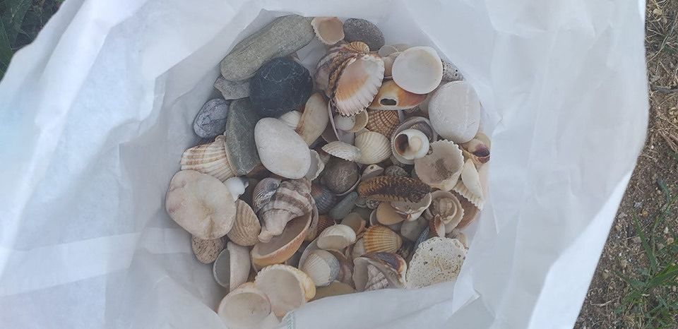 Famiglia francese fa razzia di conchiglie dalla spiaggia di Campulongu ma viene bloccata dalle guardie ambientali