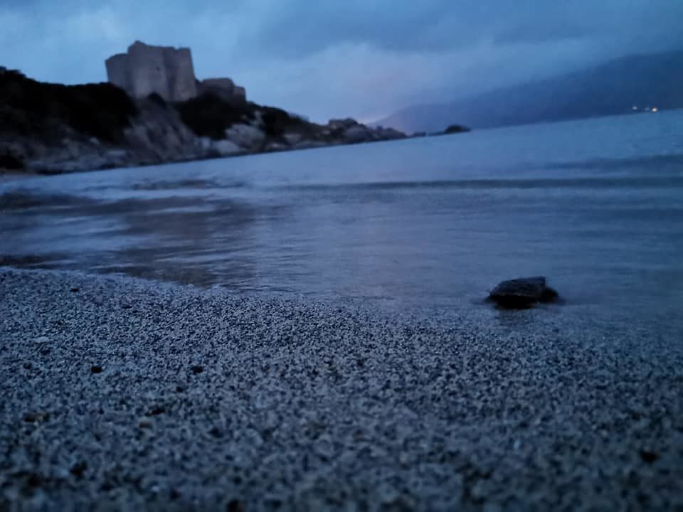 Ancora un lieto evento a Cala Sinzias: 18 piccole tartarughine e la loro corsa verso il mare