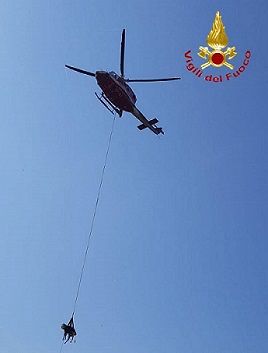 Mucca cade in un dirupo nelle campagne di Lollove: salvata con l’elicottero dei vigili del fuoco