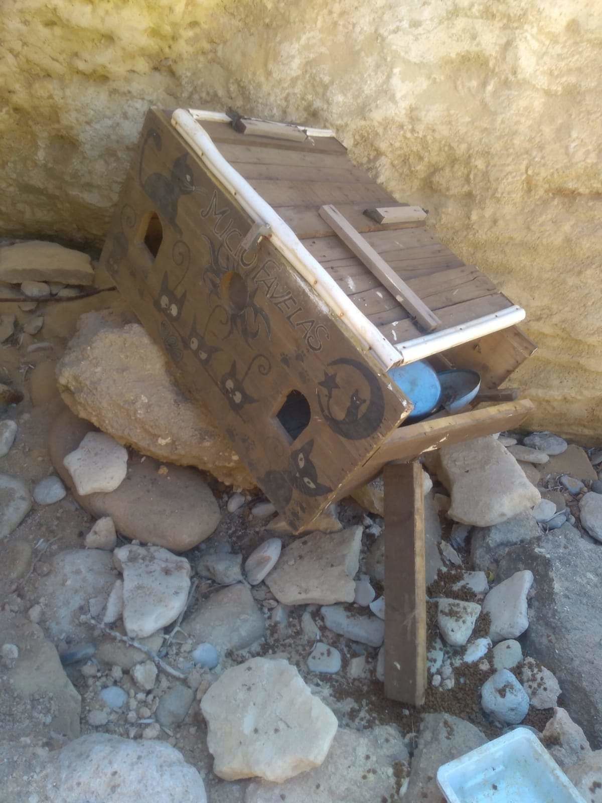 Vandali senza cuore a San Vero Milis, distrutte le casette dei gatti randagi