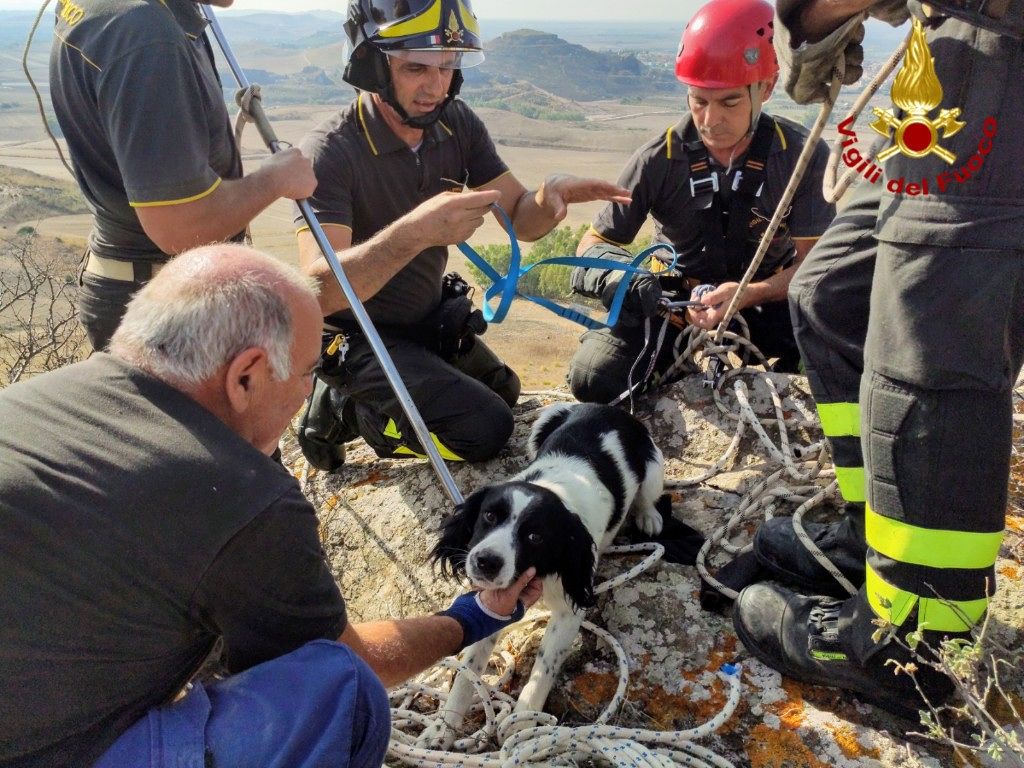 Serrenti, soccorso un cane rimasto bloccato in uno strapiombo nelle campagne: salvato dai vigili