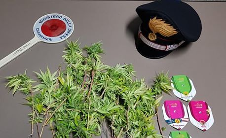 Guerra a spaccio e produzione di droga, sequestrate 20 piante di cannabis indica a Domusnovas