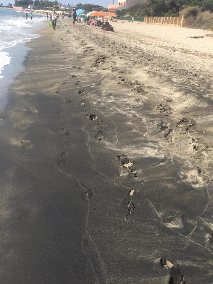 Catrame a Su Guventeddu, blitz della Guardia Costiera e proteste: “Inquinamento come 30 anni fa”