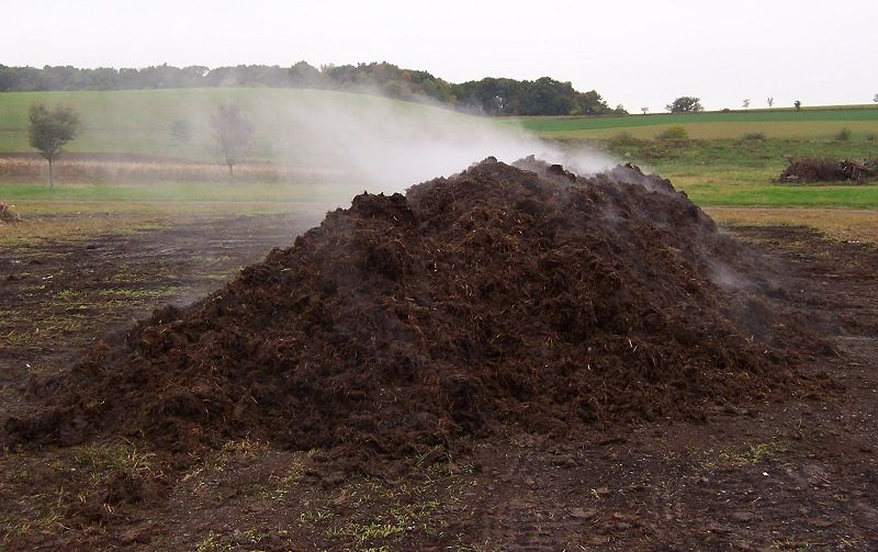 Compost e puzza, polemica a Samassi: “Qui l’aria è irrespirabile”