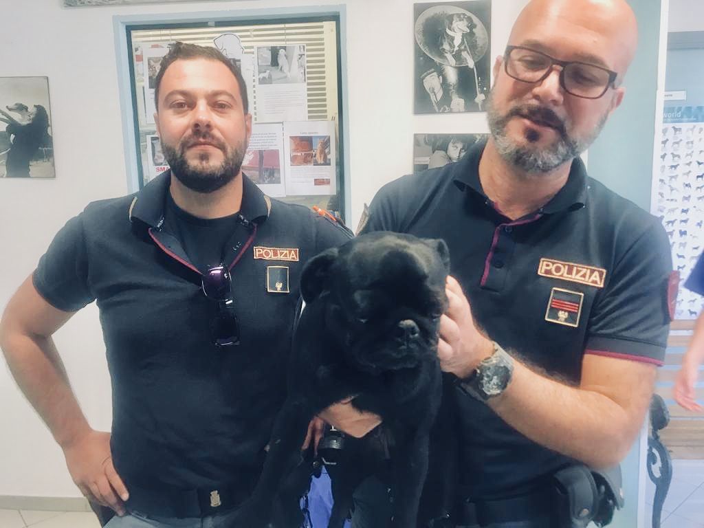 Oristano, smarrita in mezzo alla strada rischiava di essere investita: due agenti salvano Matilda