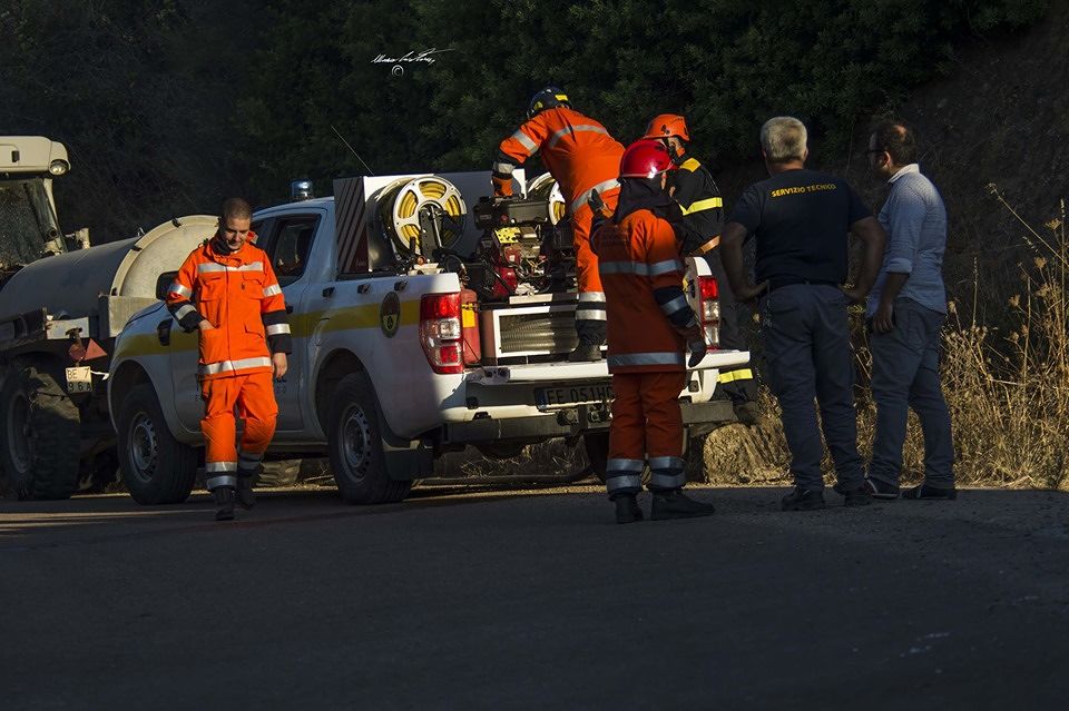 Forestali in rivolta contro la Regione: “Martedì occuperemo le strade di Cagliari”