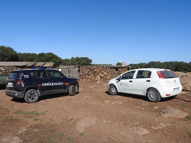 Cani incatenati e maltrattati a Gesturi, i carabinieri denunciano il proprietario e liberano i 4 zampe