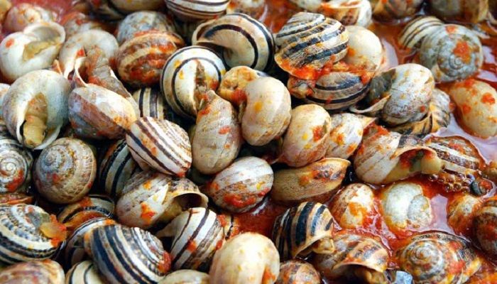 A Gesico la XXVII sagra della lumaca tra cibo, cultura, estetica e medicina