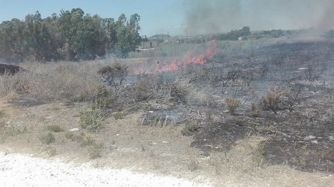 Cagliari, cerca di incendiare Molentargius ma viene “placcato” dai poliziotti