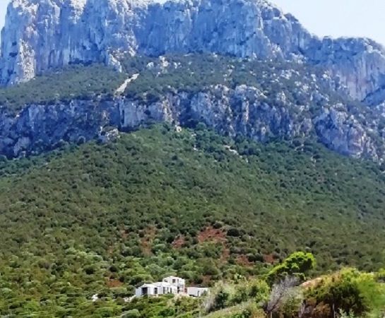 Una villa a due piani nell’isola di Tavolara: cantiere sotto sequestro
