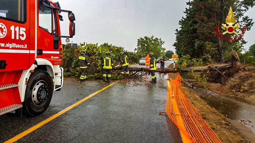 Super bomba d’acqua a Oristano, emergenza in diversi Comuni: alberi pericolanti e strade nel caos
