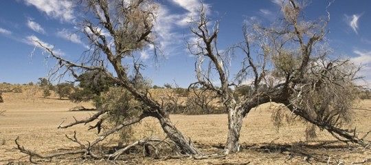 Cambiamento climatico, intervista a Franco Prodi: “Il segreto è nelle nubi”