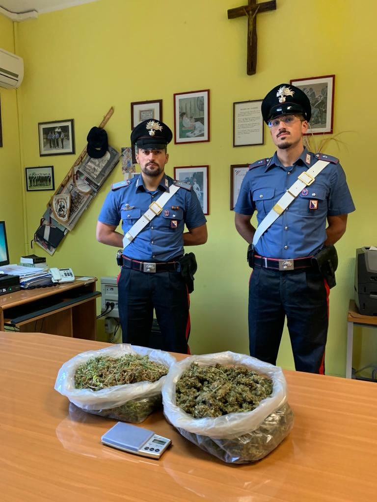 Nascondeva marijuana in un casolare, 51enne in arresto a San Gavino