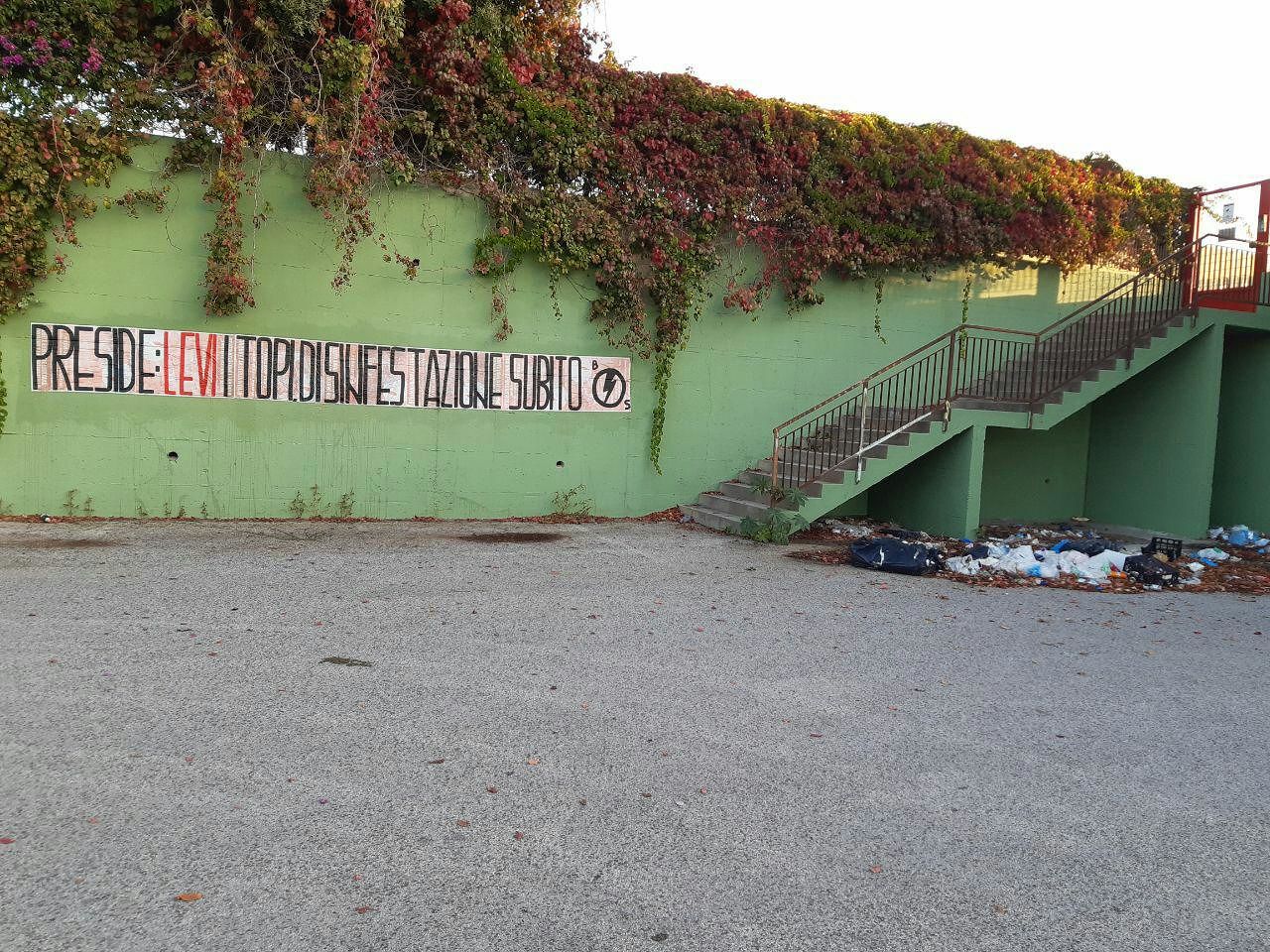 Quartu, il Blocco Studentesco: “Subito disinfestazione all’ITC Levi”