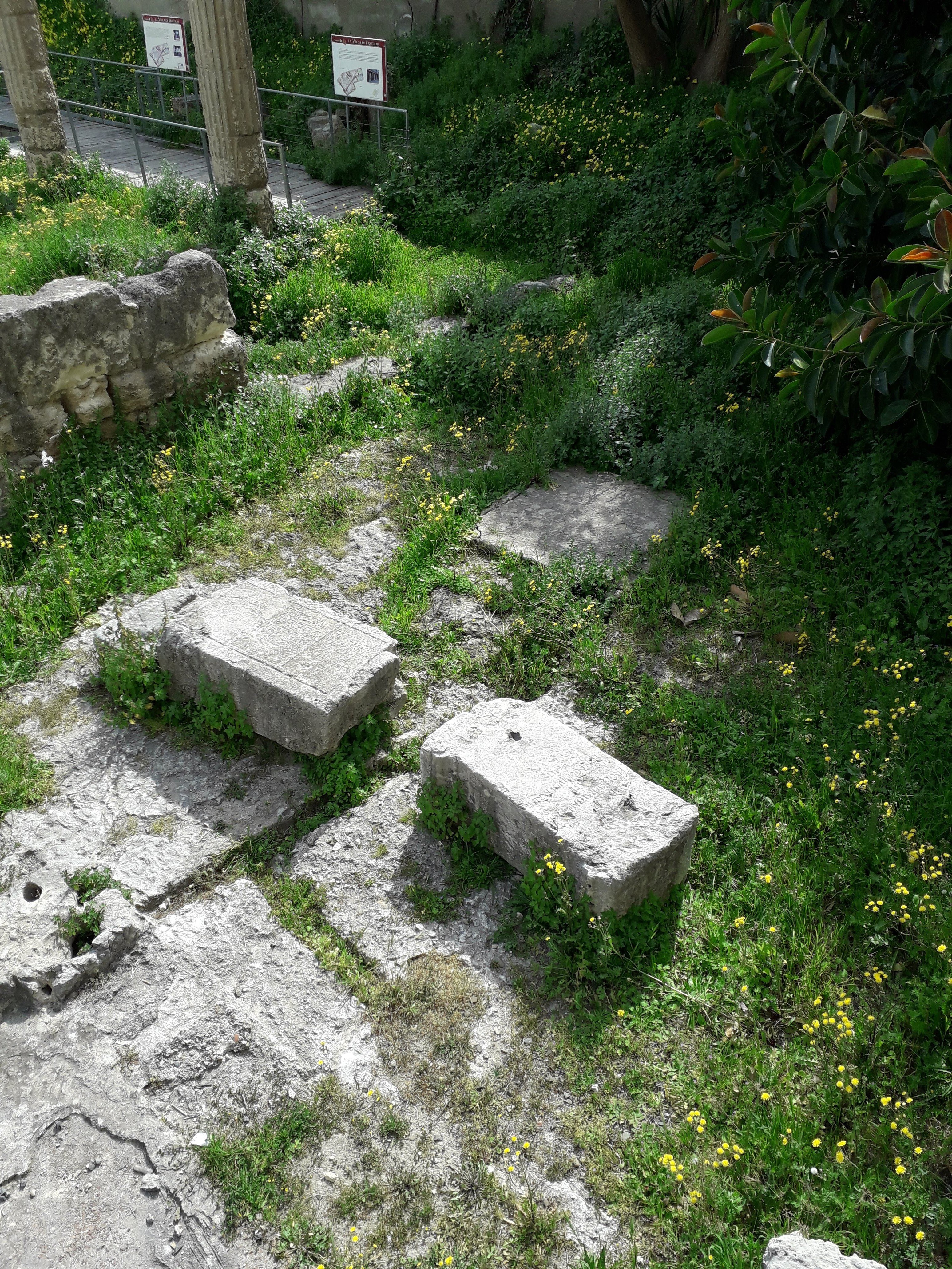 Un applauso per la riapertura della Grotta della Vipera, ma quando toccherà alle stele della villa di Tigellio?