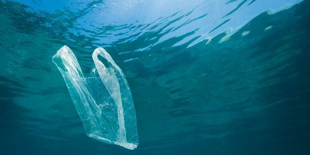 Sì della Commissione Ambiente al Salvamare, Paola Deiana: “Svolta storica che guarda al futuro”