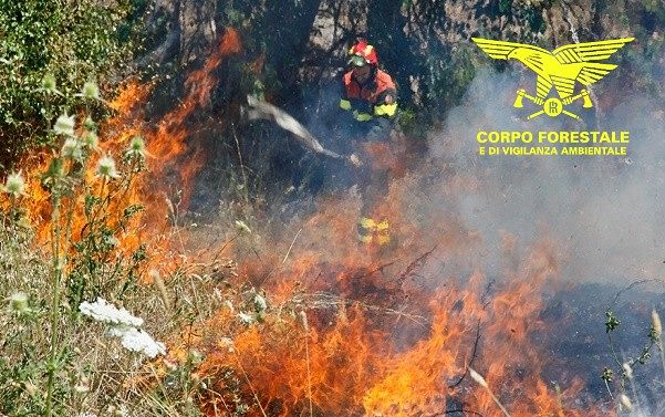 Fiamme a Pattada, elicottero della forestale in azione