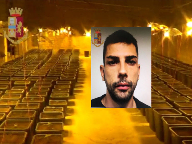 Cagliari, maxi serra di marijuana nascosta dietro il box della doccia: arrestato 30enne pregiudicato