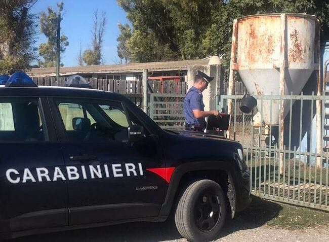 Villamar, con 50 grammi di cocaina nell’auto e 2 chili di marijuana nell’ovile: allevatore in manette