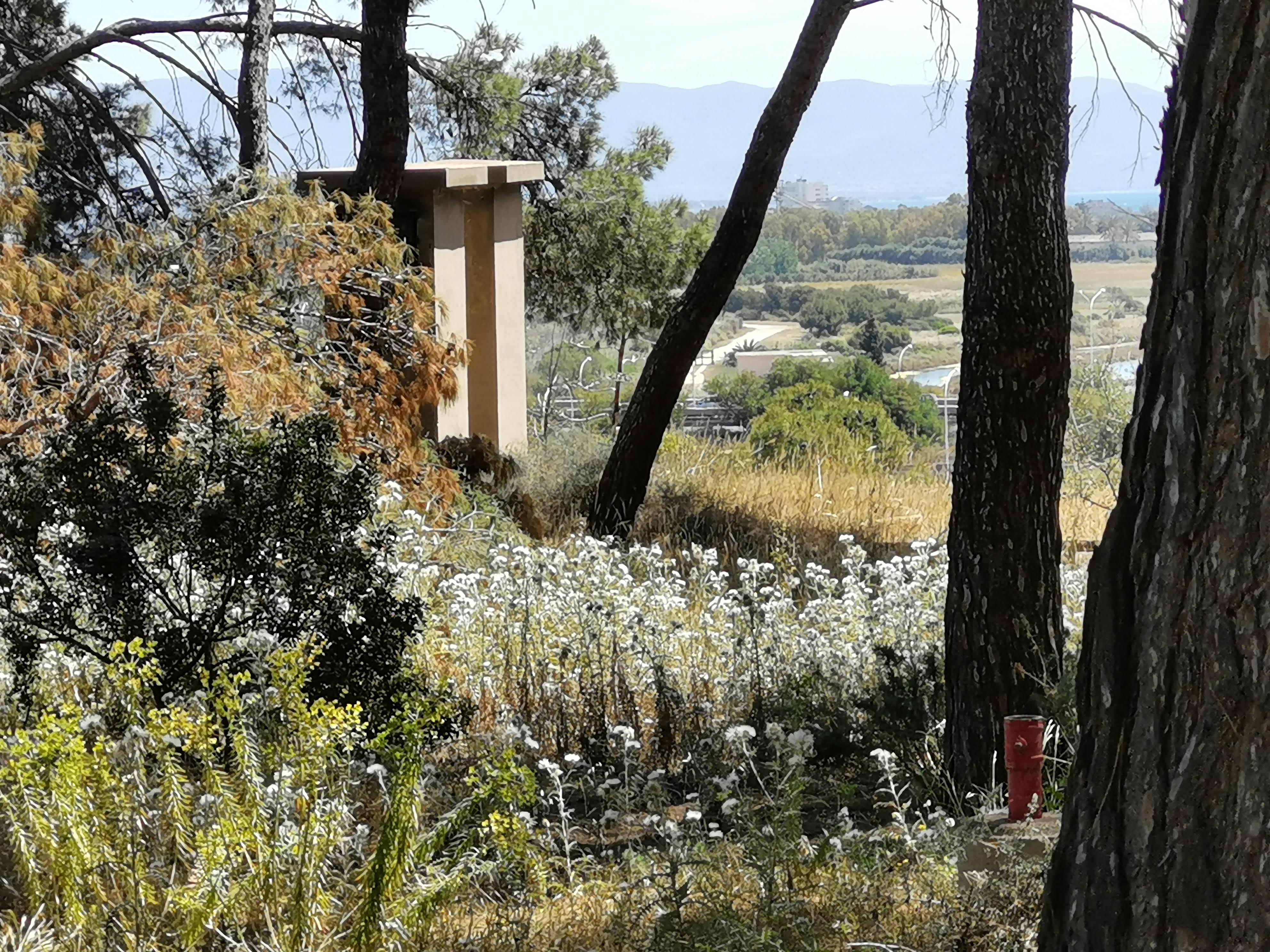 Cagliari, a spasso nel parco con buste e ramazze: gli ingegneri puliranno Monte Urpinu