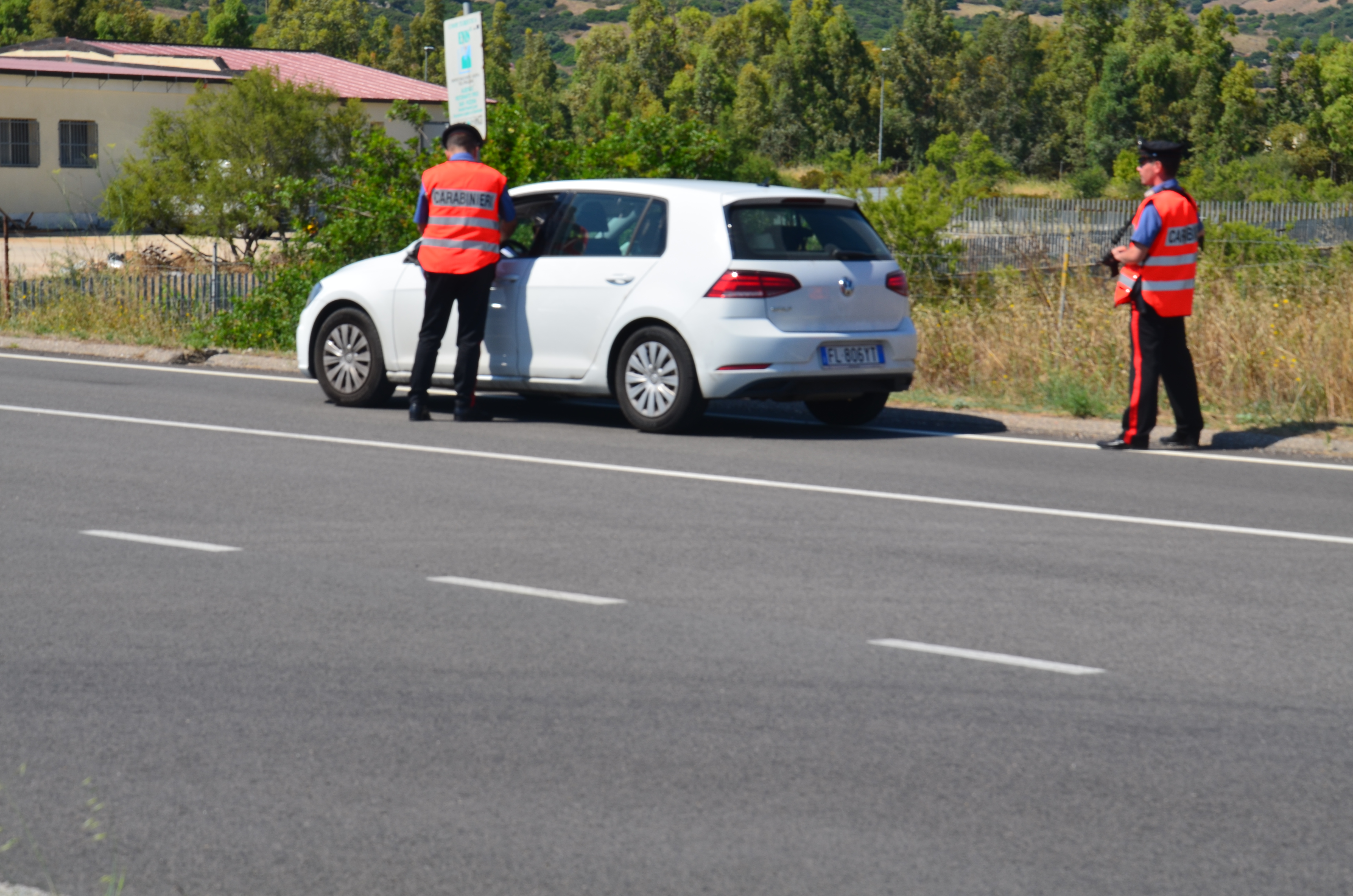 Talana, incidente stradale sulla provinciale 56: auto travolge un muflone