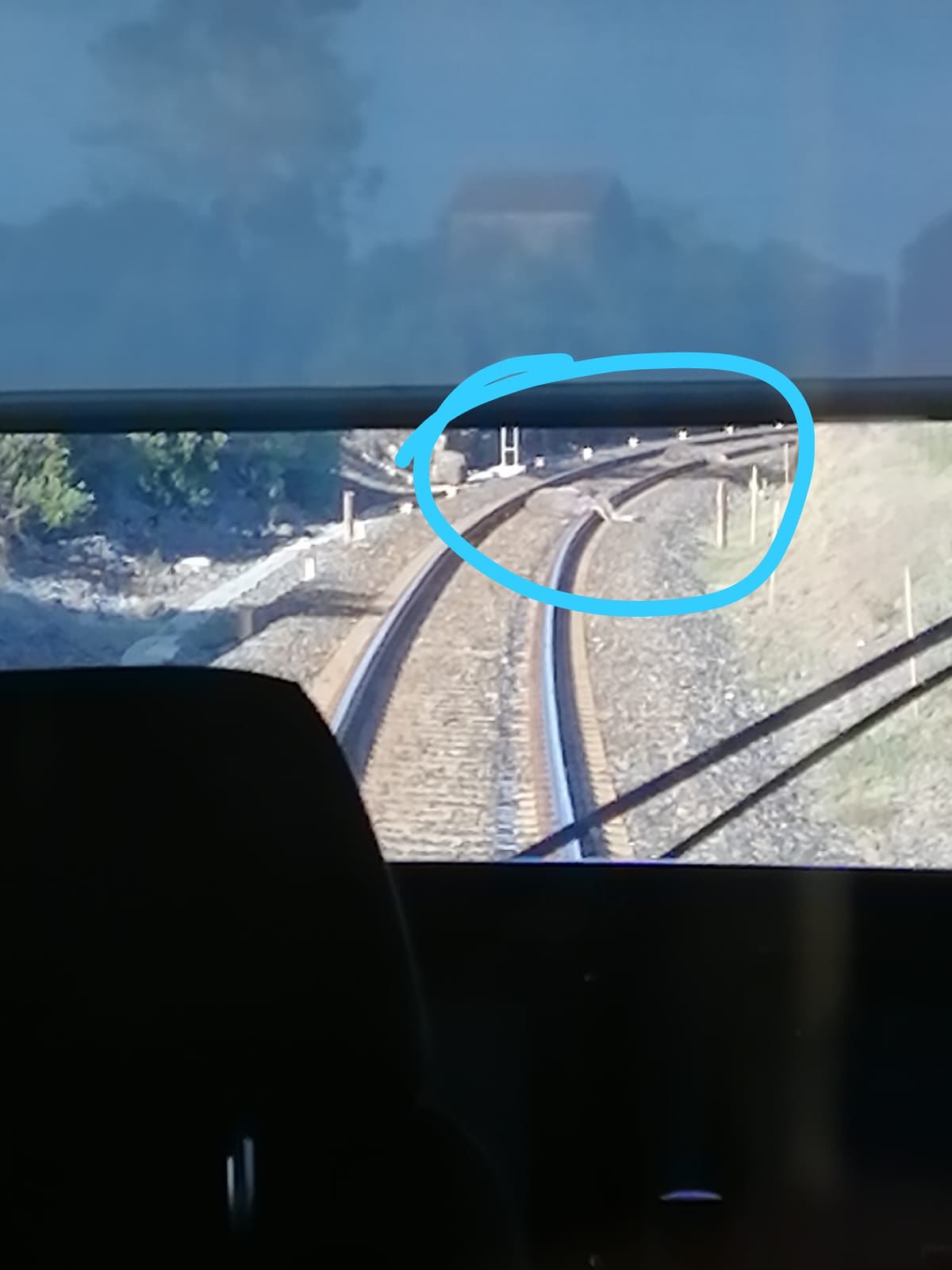 Oristano, il treno travolge una mandria: 200 passeggeri diretti a Cagliari bloccati per oltre un’ora