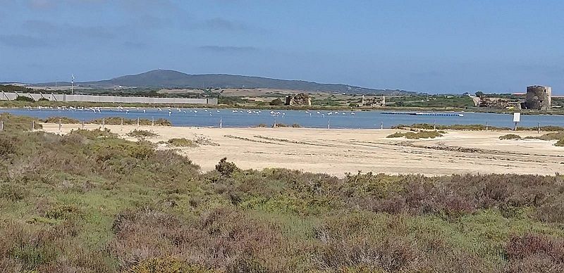 A Stintino una pista ciclopedonale immersa nella natura