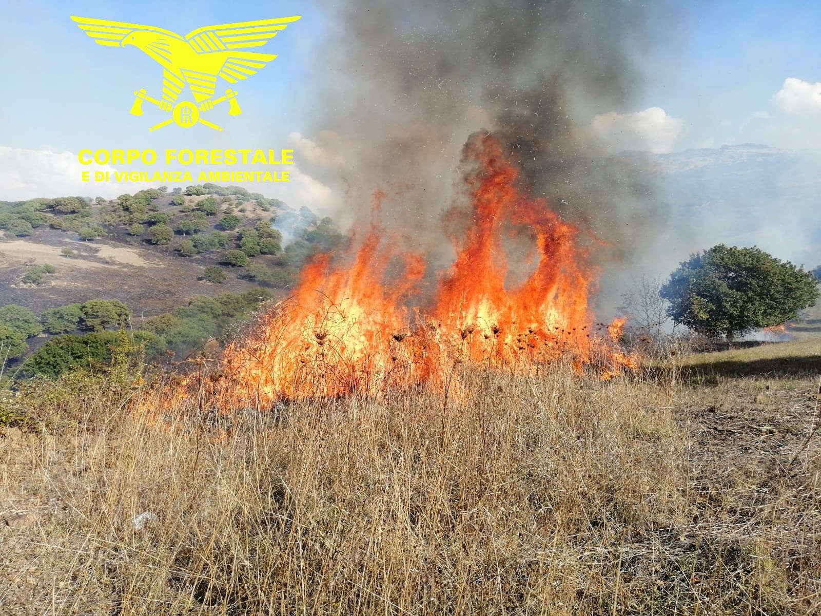 Ancora incendi nell’Isola, altri due roghi domati dai forestali